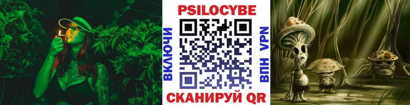 Псилоцибиновые грибы Psilocybine cubensis  Купить  Бабаево 